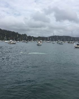 Sailing