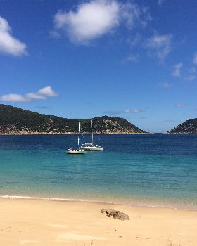 Sailing