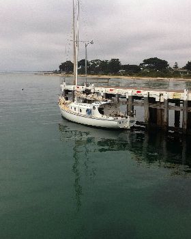 St Leonards#2
