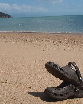 Two Crocs mating on the beach.