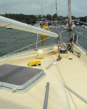 DSC00591 (5)