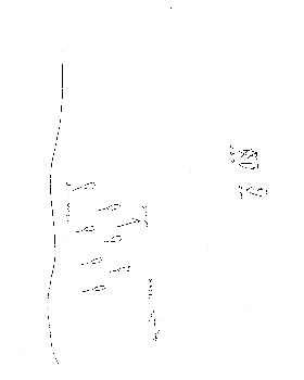 scan20190123 14074321