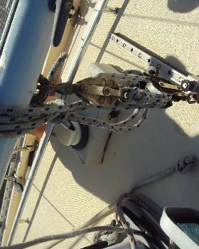 DSC00599