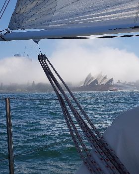 Sydney harbour sailing