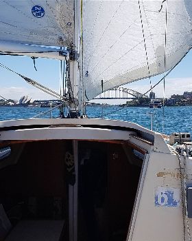 Sydney harbour sailing