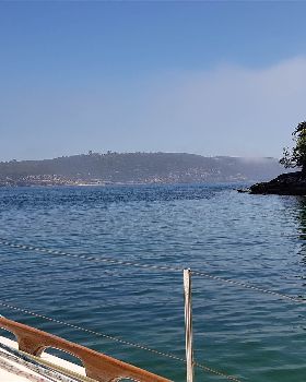 Sydney harbour sailing