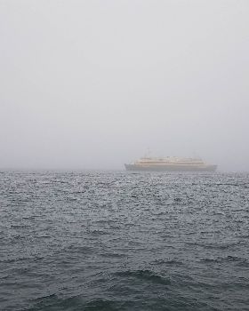 Sydney Harbour Sea Fog