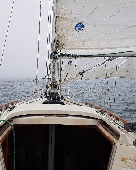 Sydney Harbour Sea Fog