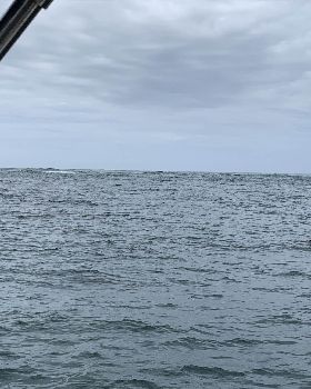 Wide bay