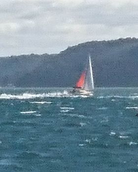 Sailing