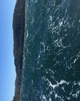 Sailing