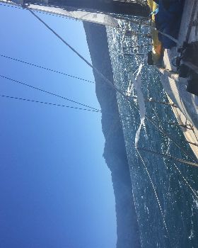 Sailing