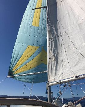 spinnaker