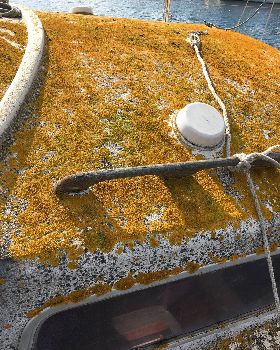 Sailing