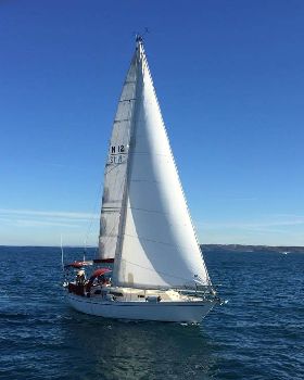 Paloma, a Cav32 in Newcastle