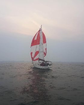 Paloma, a Cav32 in Newcastle