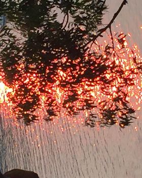 Sunset through the smoke