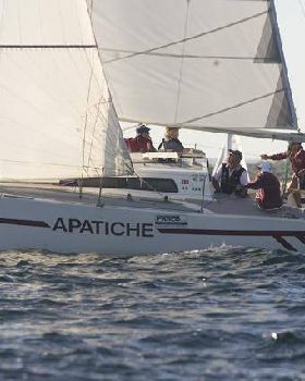 Apatiche