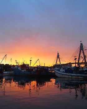 Sydney Fish Markets (1)