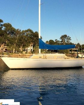 Contessa 25