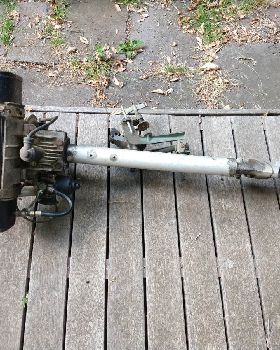 Seagull barn find