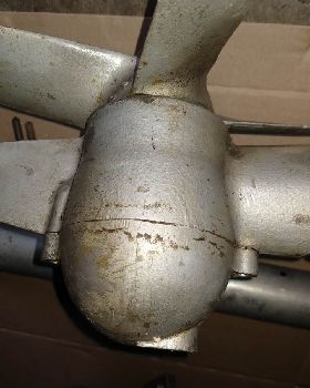 Seagull barn find