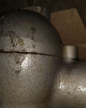 Seagull barn find
