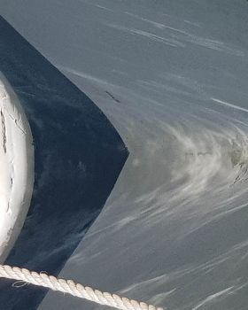 Sailing