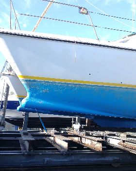 bulbous bows