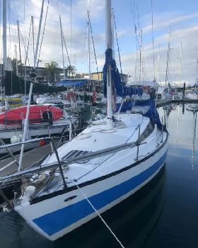 Mottle 820