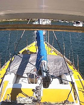 CAM1