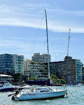 Davidson 26