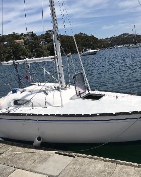 Tasman 22