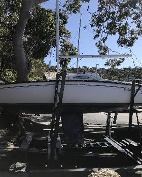 Tasman 22