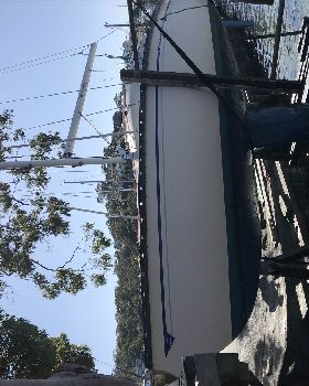 Tasman 22