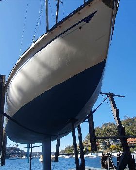 Tasman 22