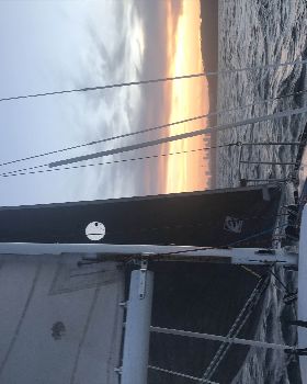 Tasman 22