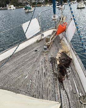 Voyageur Start Foredeck