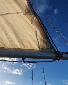 Image1838413641697241115