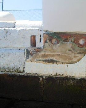 Lower Skeg Shoe with pivotal pin