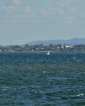 2022 HYC Winterbash from Races 1, 2 & 3, Monohulls