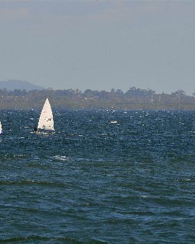 2022 HYC Winterbash from Races 1, 2 & 3, Monohulls