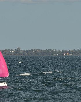 2022 HYC Winterbash Race 1, Multihulls