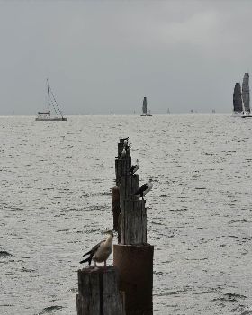 2019 Brisbane to Gladstone Multihull Yacht Race