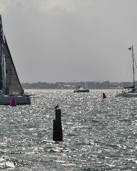 2019 Brisbane to Gladstone Multihull Yacht Race