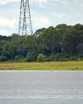 Lake Samsonvale Water Sports Association (LSWSA) 2022 Regatta (Race 1, Sunday)