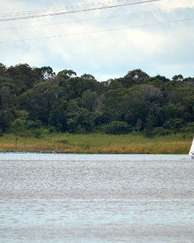 Lake Samsonvale Water Sports Association (LSWSA) 2022 Regatta (Race 1, Sunday)