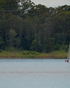 Lake Samsonvale Water Sports Association (LSWSA) 2022 Regatta (Race 1, Sunday)