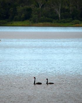 Lake Samsonvale Water Sports Association (LSWSA) 2022 Regatta (Race 1, Sunday)