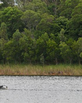 Lake Samsonvale Water Sports Association (LSWSA) 2022 Regatta (Race 1, Sunday)